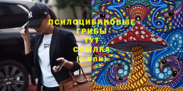 твердый Пересвет