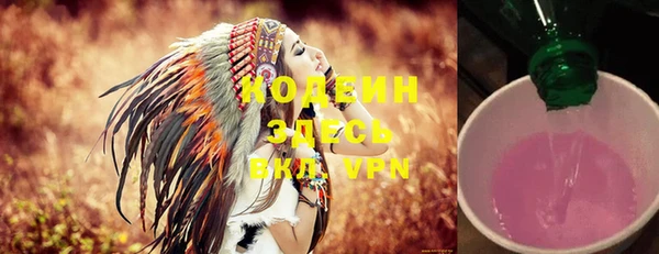 твердый Пересвет